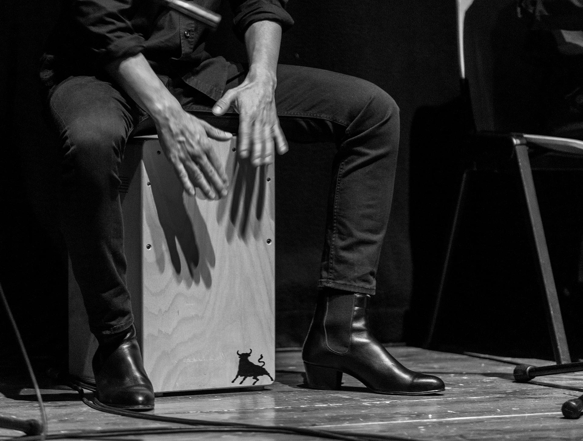 Gregorio Busatto musicista - Mani Su Cajon